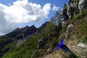 33 Genziana di Clusius (Gentiana Clusii) con Resegone